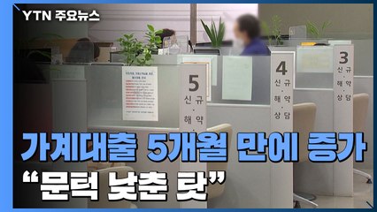 은행 가계대출, 5개월 만에 증가..."대출 문턱 낮춘 탓" / YTN
