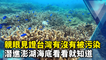 親眼見證台灣有沒有被污染　潛進澎湖海底看看就知道