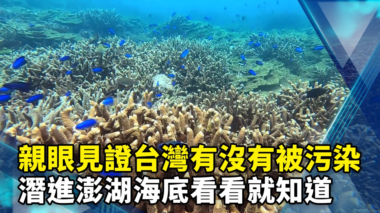 親眼見證台灣有沒有被污染　潛進澎湖海底看看就知道