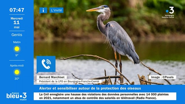 Bernard Marchiset, président de la LPO Bourgogne-Franche-Comté