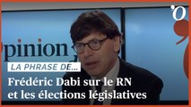 Frédéric Dabi (Ifop): «Le Rassemblement national est la force politique qui a le plus à craindre des législatives»