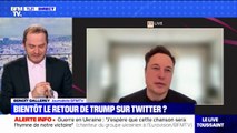 Elon Musk souhaite lever le bannissement du compte Twitter de Donald Trump