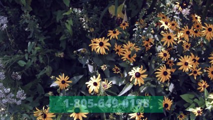 How to troubleshoot Norton Antivirus Issues - 1(315) 204-0084(Dial)