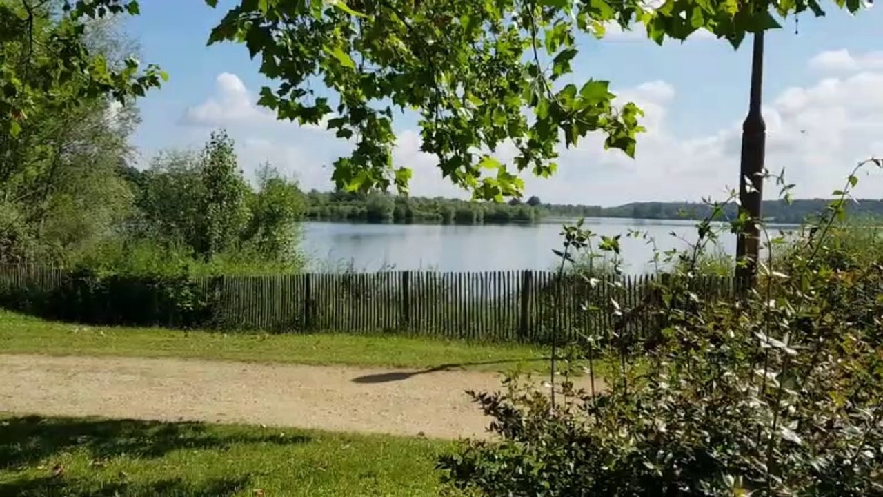 La France 2021. Escale camping car Park du lac de St Cyr (86130)