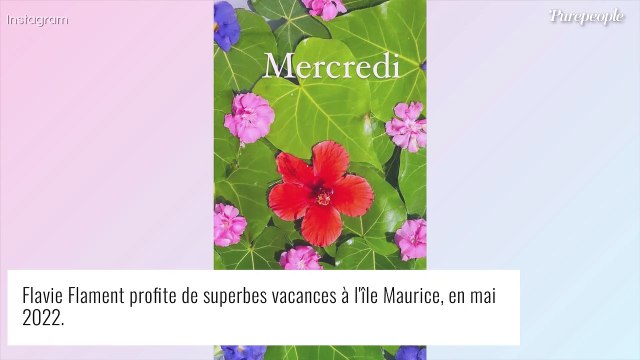 Flavie Flament rayonnante en bikini et au naturel : vacances grand luxe à l'île Maurice !