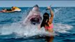 Shark Bait - Official Trailer - Horror 2022 (Shark Bay)