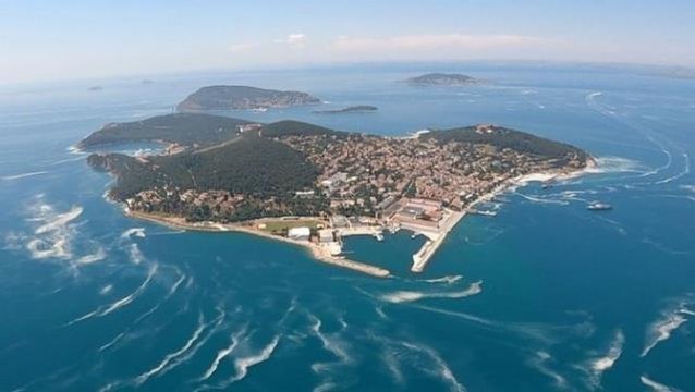 Greenpeace'ten Marmara Denizi için kırmızı alarm: Toplu balık ölümleri, denizanası istilası, müsilaj uyarısı