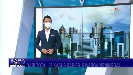 Angka Kasus Rabies di Buleleng Meningkat! 5 Orang Meninggal Dunia