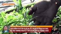 Nación fijó en $46,89 el nuevo precio del kg de yerba mate y en $178,18 la tonelada