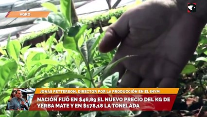 Nación fijó en $46,89 el nuevo precio del kg de yerba mate y en $178,18 la tonelada