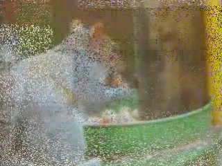 Mission Impossible écureuil