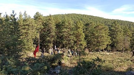 Son dakika haberi | AYMAN YAYLASI'NDA 'ÇED GEREKLİ DEĞİLDİR' KARARINA MAHKEMEDEN İPTAL