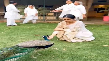 Shehnaz Gill का मोर के साथ वीडियो वायरल, मोरनी बनकर ऐसे थिरकी | Filmibeat