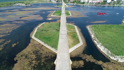 Büyükçekmece gölü'nde neler oluyor: İstila var