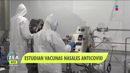 Estudian el desarrollo de vacunas nasales contra Covid-19