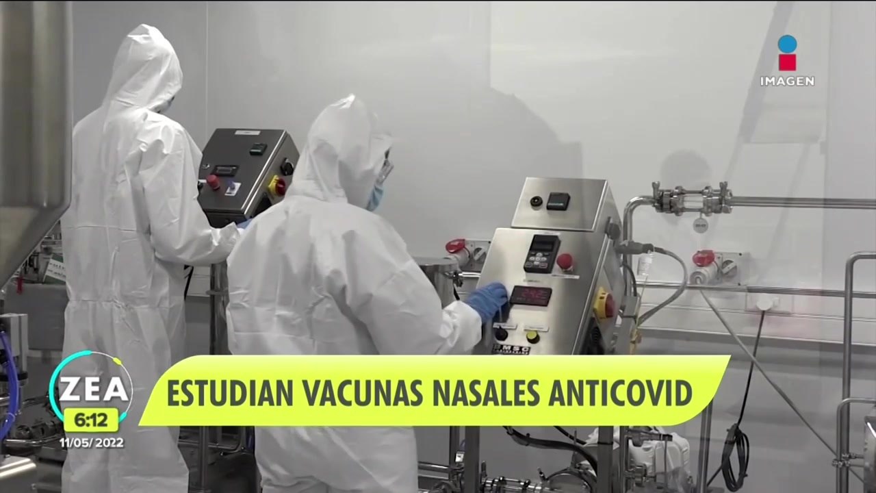 Estudian el desarrollo de vacunas nasales contra Covid-19