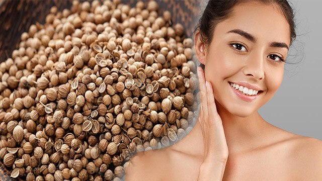 धनिया के बीज खाने से क्या होता है | धनिया के बीज के फायदे | Boldsky