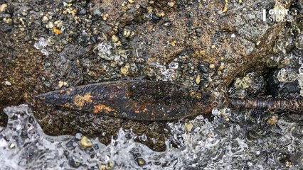 Archéo : une flèche mystérieusement intacte datant de l’âge du fer, découverte en Norvège