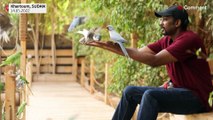 Soudan : un sanctuaire végétal accueille des oiseaux exotiques