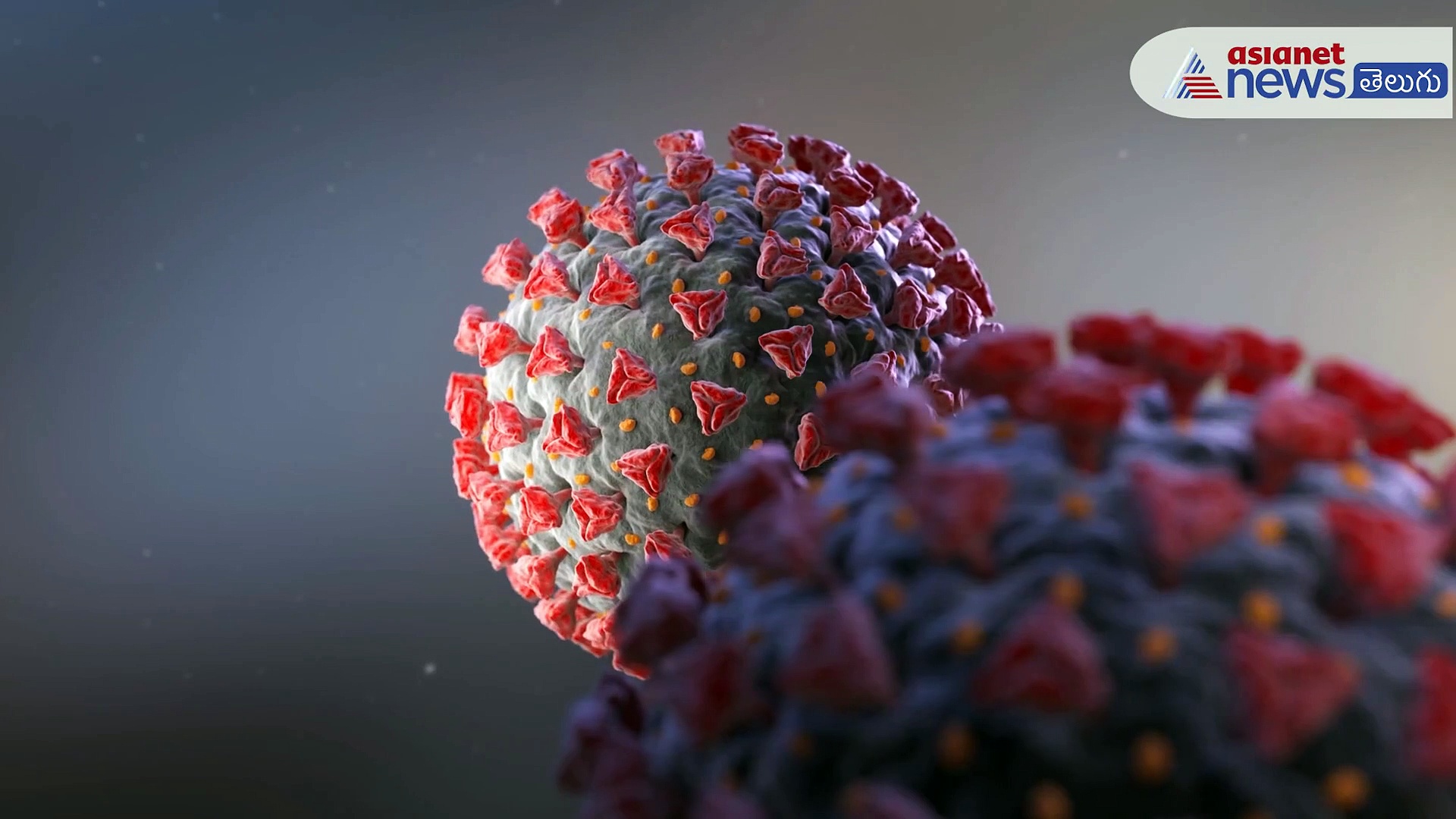 పారాసెటమోల్ టాబ్లెట్స్ ను అతిగా మింగితే ఎంత ప్రమాదమో తెలుసా..?