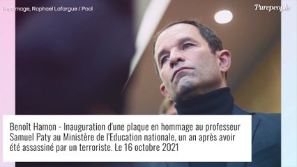 "Menacé en présence de mes enfants" : Benoît Hamon face au jugement de son agresseur