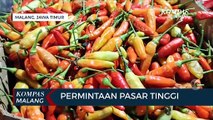 Pasca Lebaran, Harga Cabai di Pasaran Melonjak