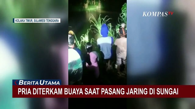 Jasad Pria di Kaloka Diseret Buaya Usai Diterkam Saat Pasang Jaring di Sungai