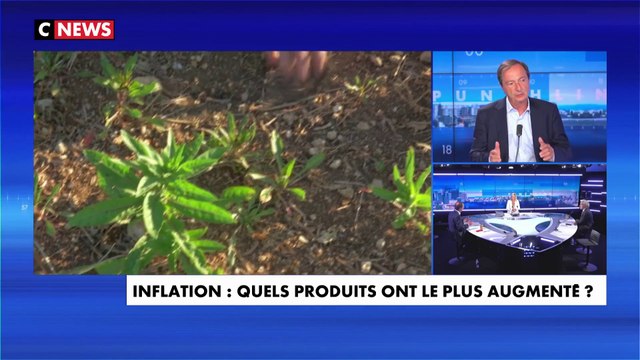 Michel-Édouard Leclerc : «Il y a une partie de l’inflation qui a été voulue»