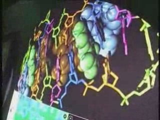 004 From Gene to Organism: Understanding Developmental Control Programs