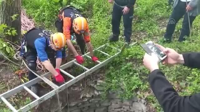 10 metre derinliğindeki kuyuya düşen iki köpek kurtarıldı