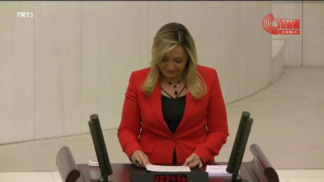 Aylin Cesur'dan TCK'da Değişiklik Öngören Kanun Teklifine Eleştiri: Göstermelik, Tedbirimsi, Avara Kasnak Uygulamalardan Biri Olacak