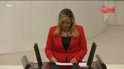 Aylin Cesur'dan TCK'da Değişiklik Öngören Kanun Teklifine Eleştiri: "Göstermelik, Tedbirimsi, Avara Kasnak Uygulamalardan Biri Olacak"