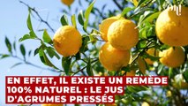 Contre les allergies au pollen, cet aliment que tout le monde a dans sa cuisine fait des miracles