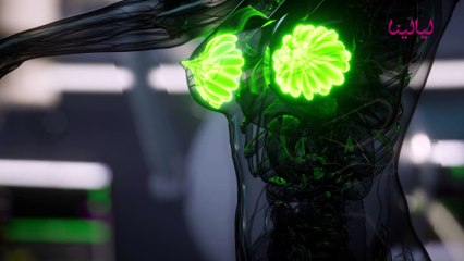 الفرق بين وجع الدورة ووجع الحمل