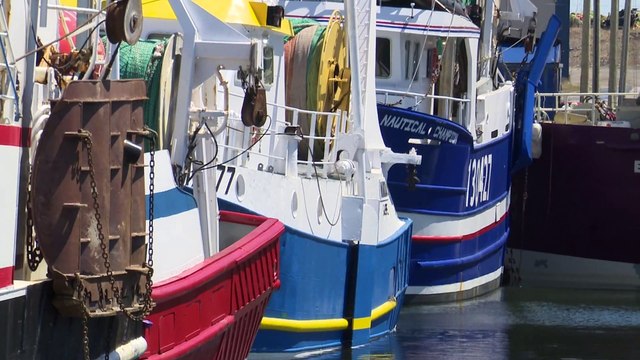 11 mai topo chad crevettes