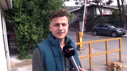 Köpeğe çarpan taksici önce izledi sonra kaçtı