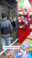 Incidentes en el Tren Roca: un pasajero golpeó a efectivos de la policía