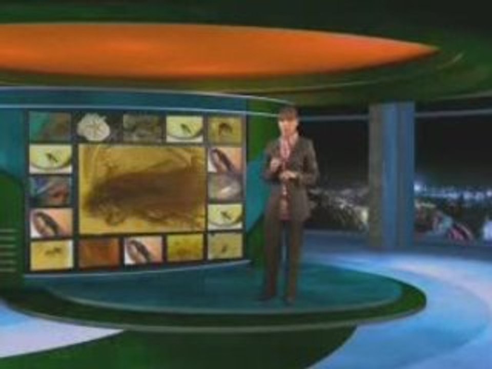 Il Collasso Della Teoria Dell'evoluzione