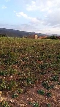 Ait bou Ali tidili massfioua3