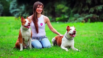 American Pitbull Terrier Dog Asmr Mouth Sounds 7