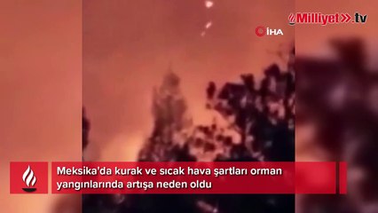 Meksika’da sıcak hava orman yangınlarını artırdı