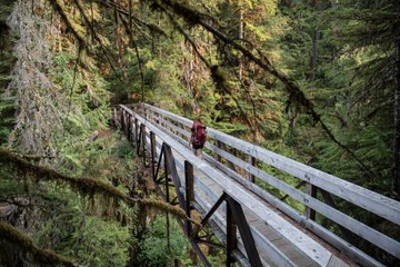 This Little known Washington Town Is a Gateway to Wild Pacific Ocean Beaches and a Gorgeou