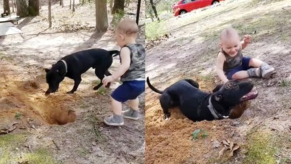 'Be with someone who makes you laugh like this dog makes its hooman bro '