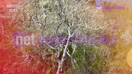 Salma Hayek ¿hace brujería?