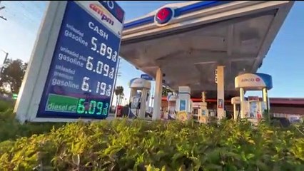 En Detalle: Revelan posible fecha de entrega de cheques de $400
