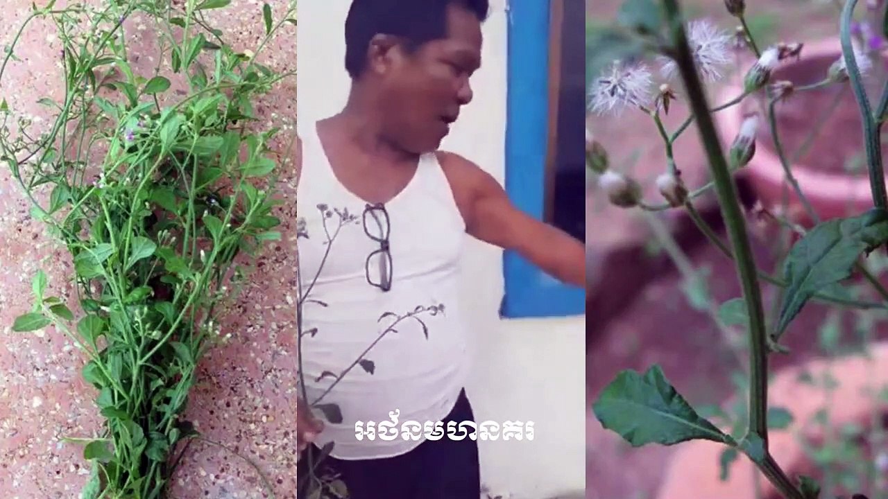 មកមើលថ្នាំព្យាបាល_ ឈឺសន្លាក់.ឈឺជង្គង់, ចុចមើលបានដឹង អ៊ុំប្រុស គាត់ពិសារជាហើយ , ថ្នាំខ្មែរពូកែ