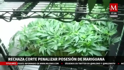 Corte declara inconstitucional penalizar posesión de más de 5 gramos de mariguana