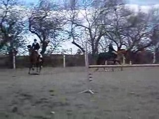 mega saut 01