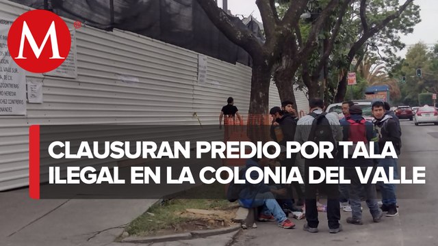 Por tala ilegal de árboles detienen construcción de tienda en la colonia Del valle, CdMx
