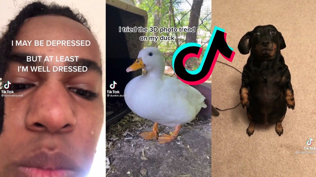 Funny TikToks that make my Monday better